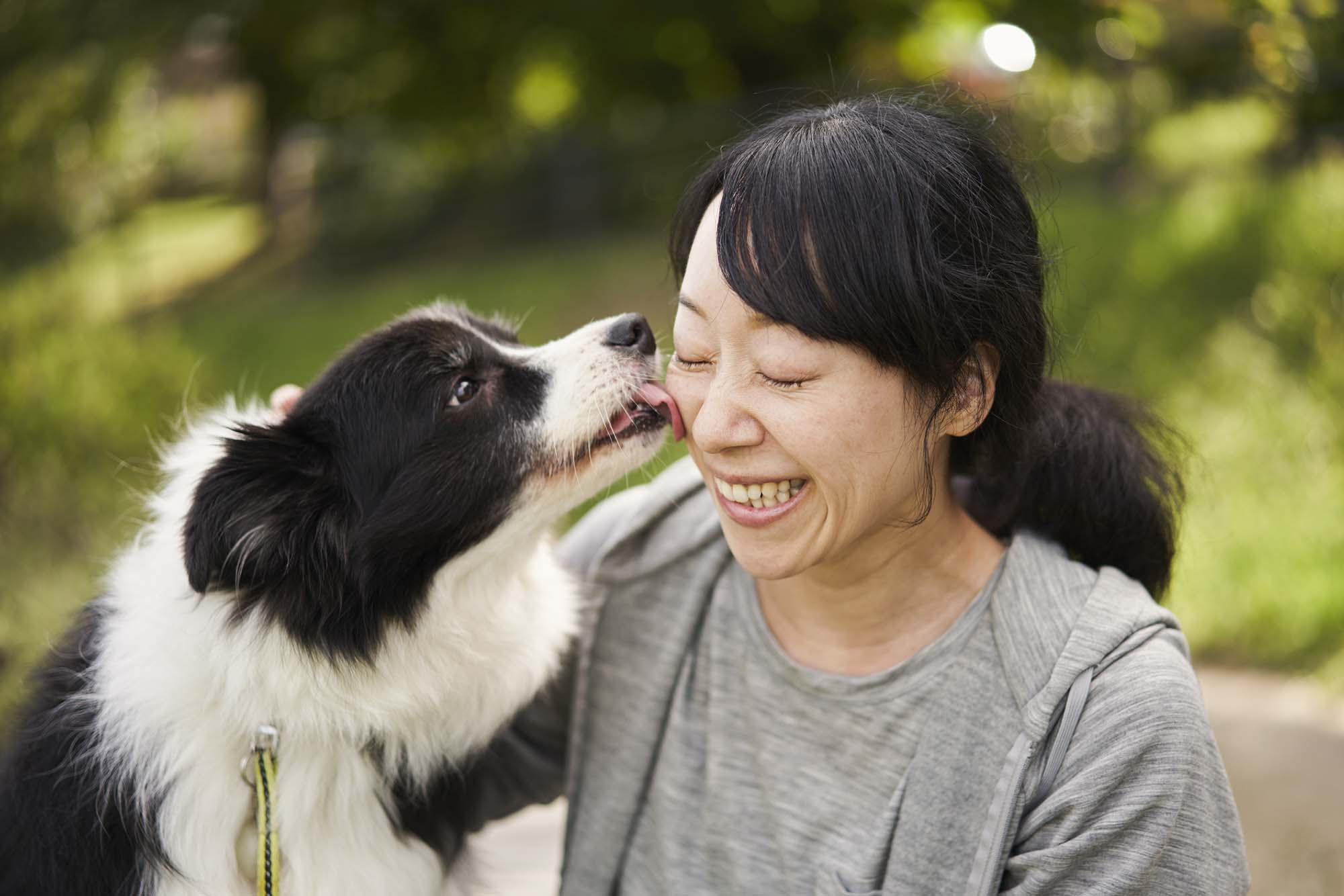 Pet Wellness Plans in Woodbridge, VA Minnieville Animal Hospital