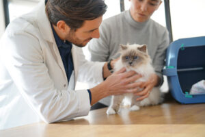 vet-examining-cat-while-owner-looks-on